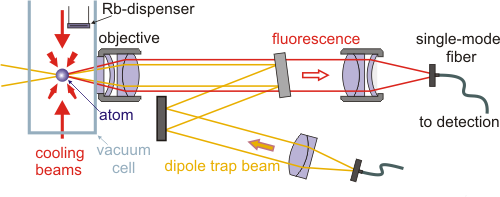 Optical trap setup